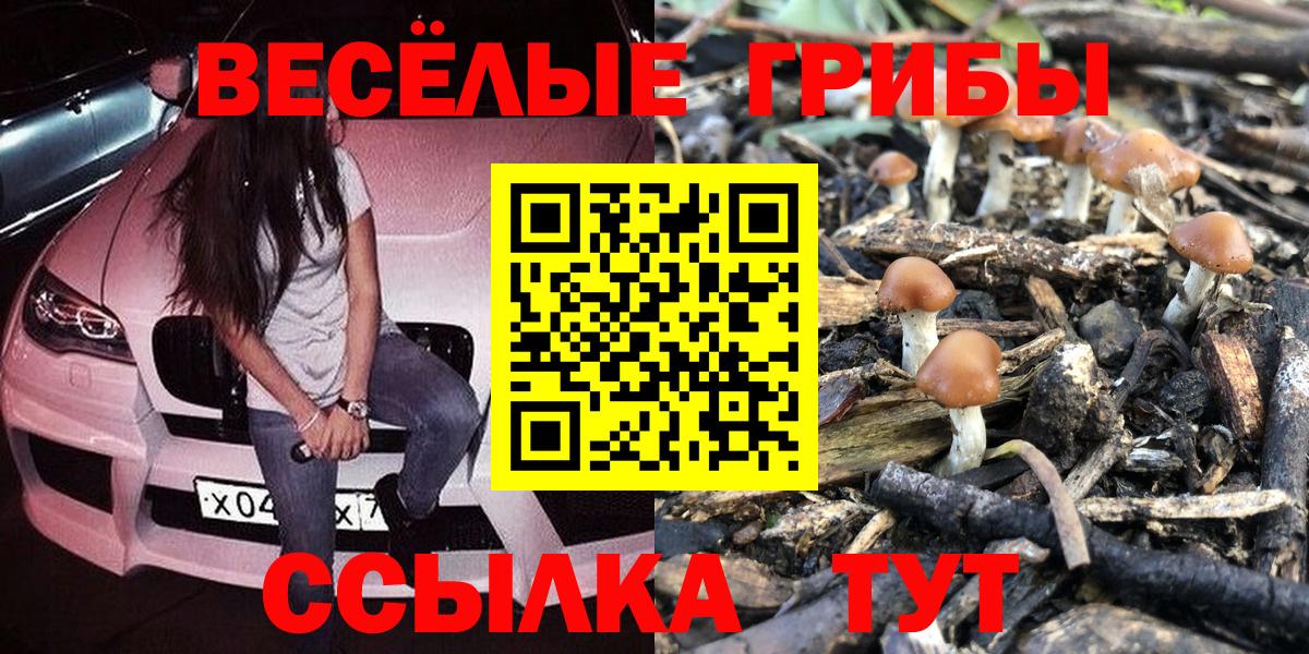 Псилоцибиновые грибы Psilocybine cubensis Тихорецк