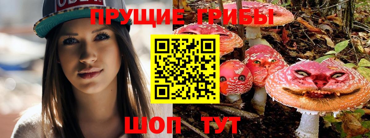 Тихорецк  где продают   Вход с VPN  Галлюциногенные грибы ЛСД 